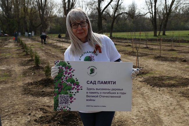 Проект сад памяти