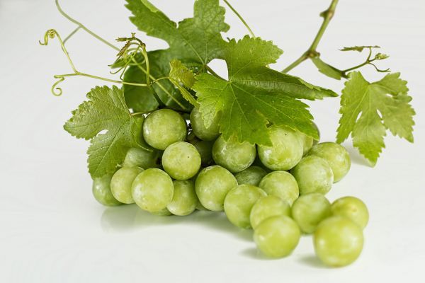 grapes_green_fruit_fresh_bunch_sweet_ripe_harvest-767754.jpeg