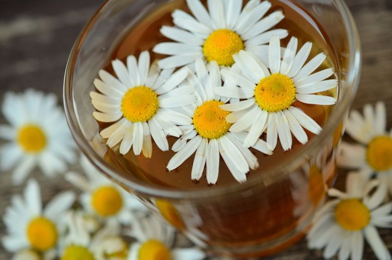 chamomile-ge78af808b_1920.jpg