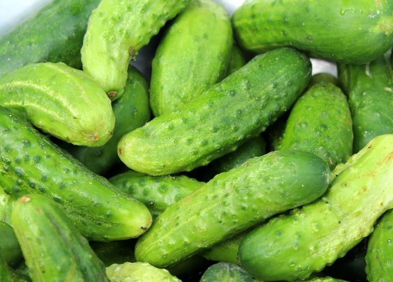 cucumbers-3534185_960_720.jpg