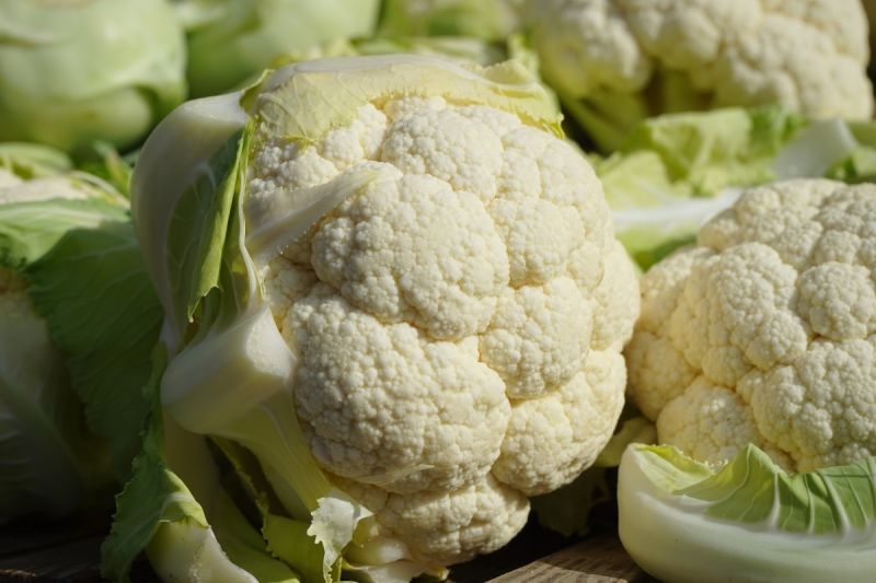 cauliflower_vegetables_market_fresh_vegetables_brassica_oleracea_var_botrytis_l_cheese_cabbage_flowering_cabbage_grape_cabbage-976318.jpg