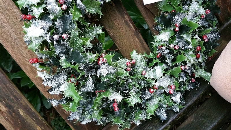 snow-winter-plant-leaf-flower-decoration-847780-pxhere.com.jpg