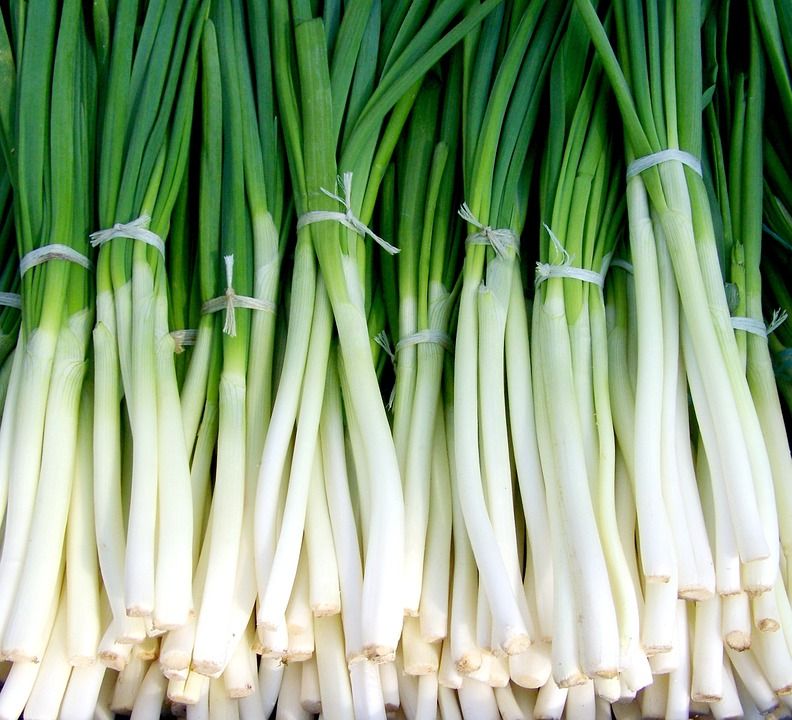 green-onion-699943_960_720.jpg